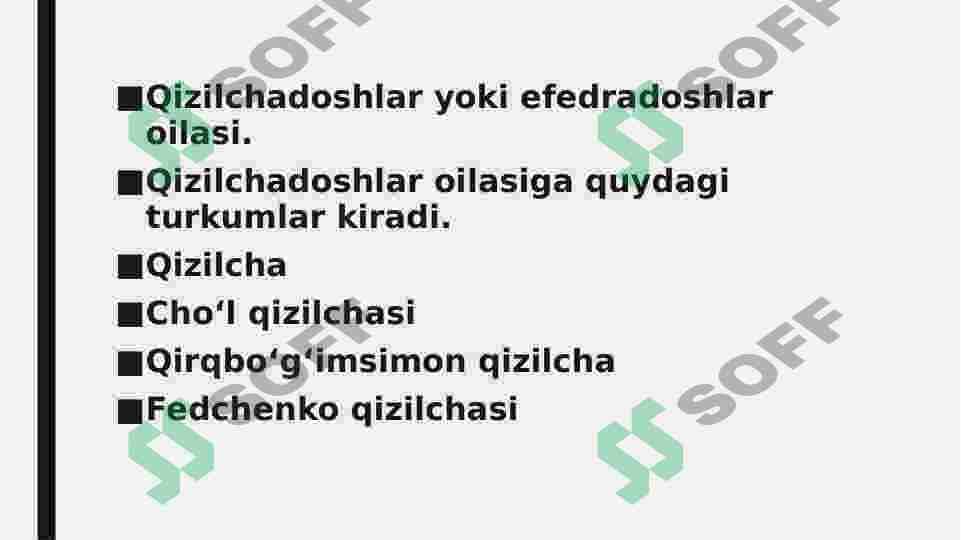Qizilchadoshlar oilasi va ularning dorivorlik hususiyati 2