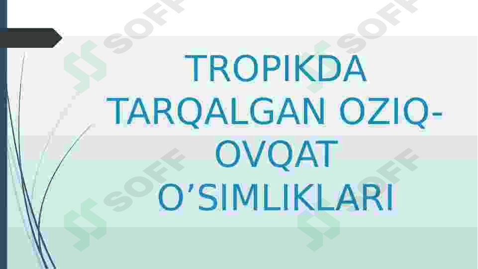 Tropikda tarqalgan oziq ovqat oʻsimliklari 2