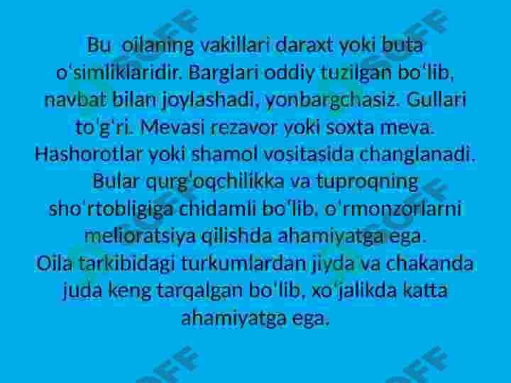 Jiydadoshlar oilasi va ularning dorivorlik xususiyatlari 2