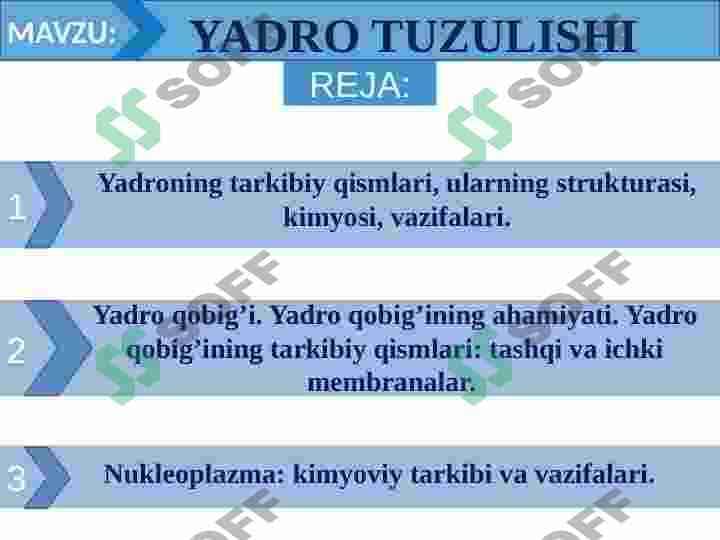 YADRO TUZULISHI 2