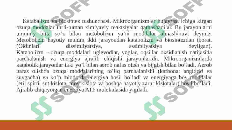 Mikroorganizmlarni oziqlanishi 2
