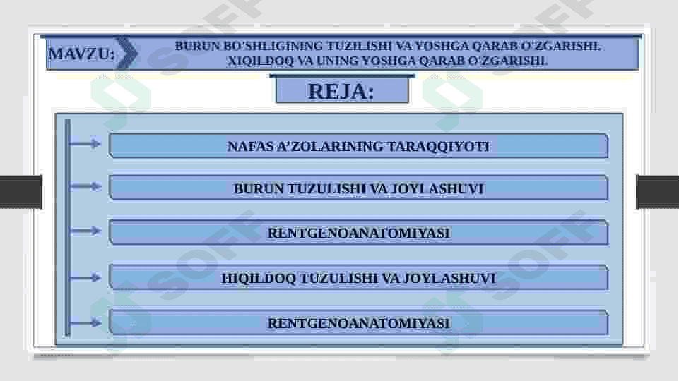BURUN BO'SHLIGINING TUZILISHI VA YOSHGA QARAB O'ZGARISHI. XIQILDOQ VA UNING YOSHGA QARAB O'ZGARISHI 2