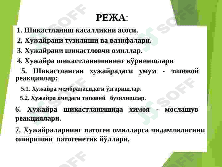 HUJAYRA SHIKASTLANISHI PATOFIZIOLOGIYASI 2