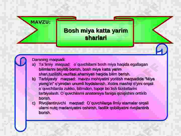 Bosh miya katta yarim sharlari. 2