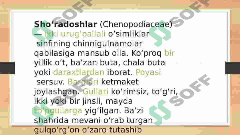 Sho‘radoshlar oilasi 2