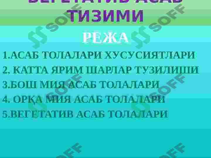 Vegetativ asab tizimining tuzilishi 2