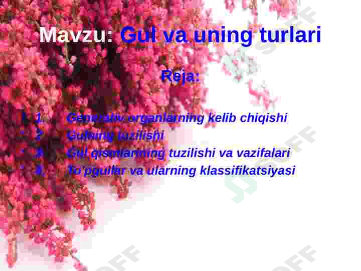 Gul va uning turlari 2