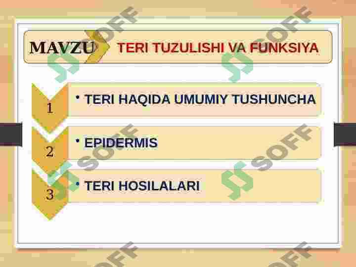 TERI TUZULISHI VA FUNKSIYA 2