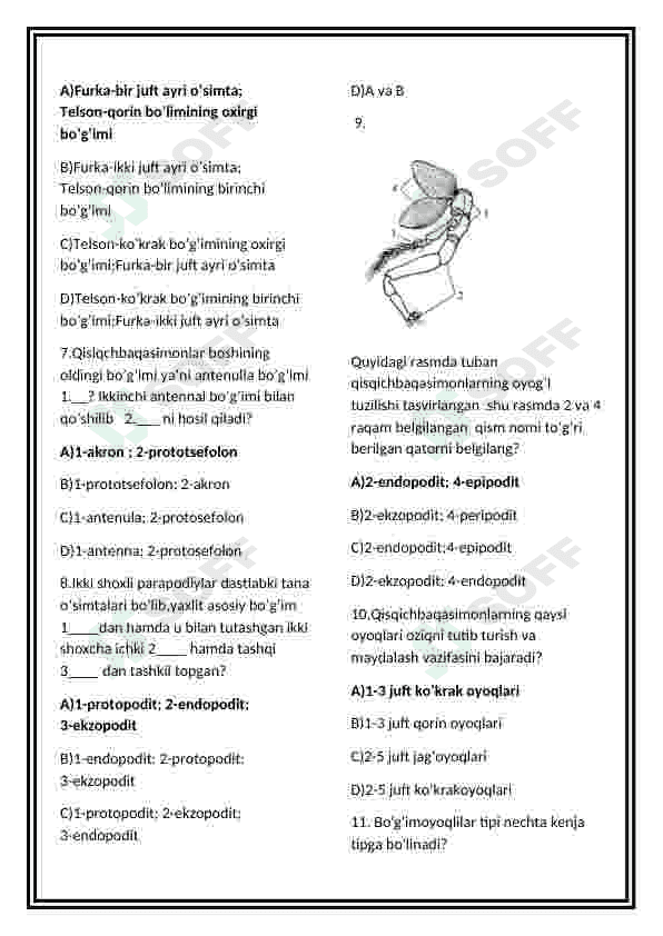 Qisqichbaqasimolar test 2