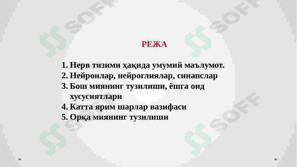 Nerv sistemasining fiziologiyasi va gigiyenasi. 2