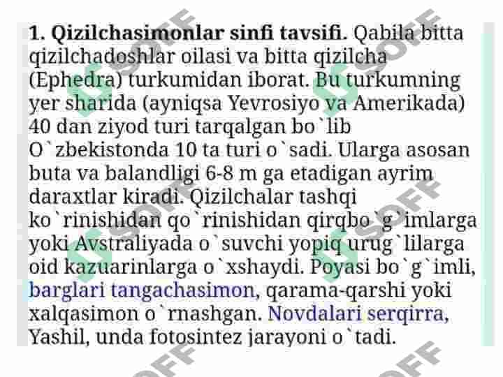 2-Qizilchadoshlar oilasi va ularning dorivorlik hususiyati 2