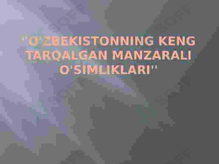 Oʻzbekistonda tarqalgan manzarali oʻsimliklar 2