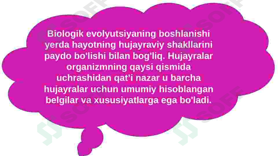 Hujayraning kimyoviy tarkibi 2