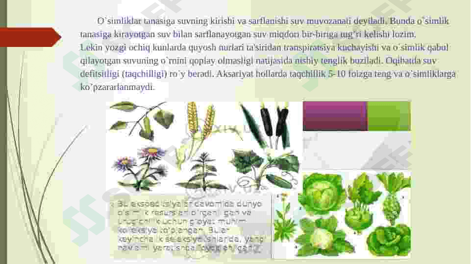 Oʻsimliklarda suv almashinuvi  fiziologiyasi 2