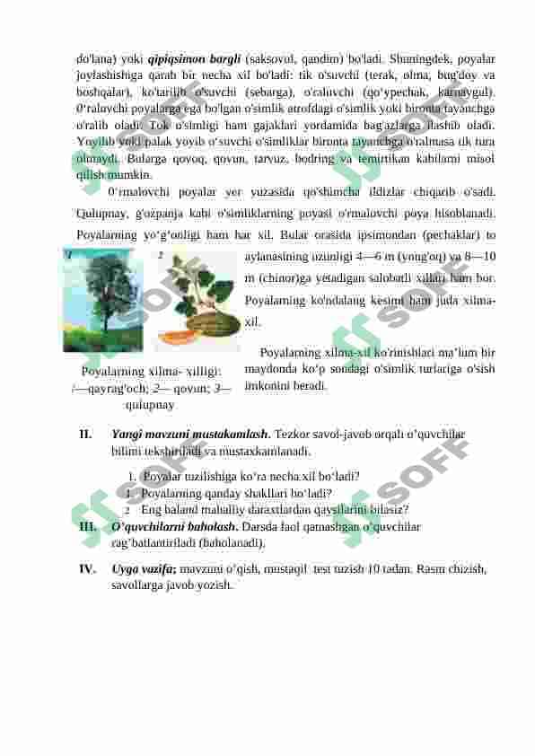 biologiya Poyalarning xilma-xilligi 2