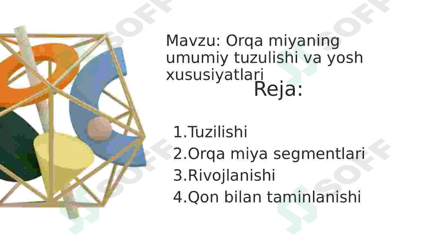 Orqa miyaning umumiy tuzulishi va yosh xususiyatlari 2
