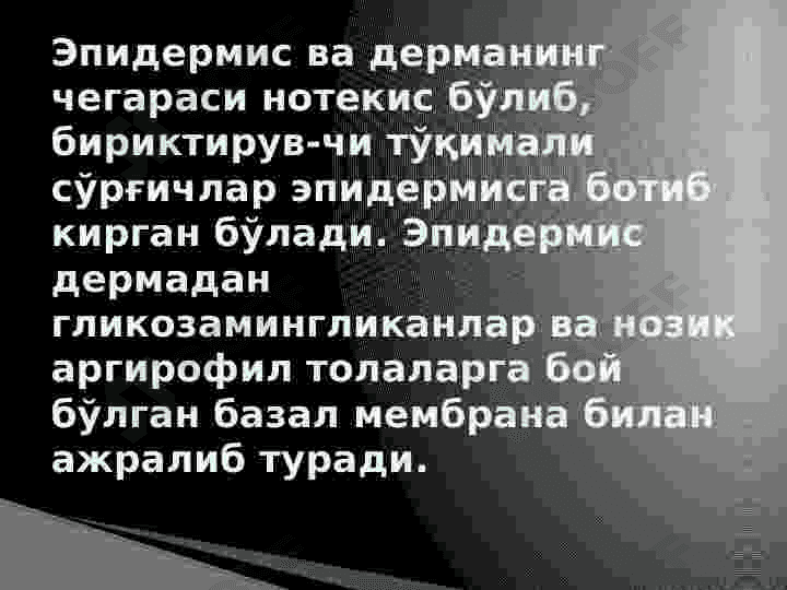 Teri gistalogiyasi 2