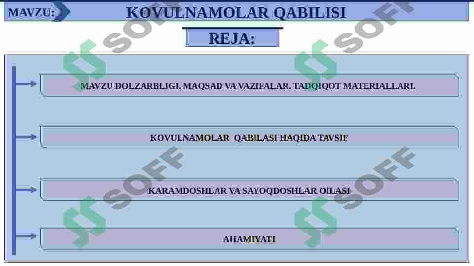 KOVULNAMOLAR QABILISI 2