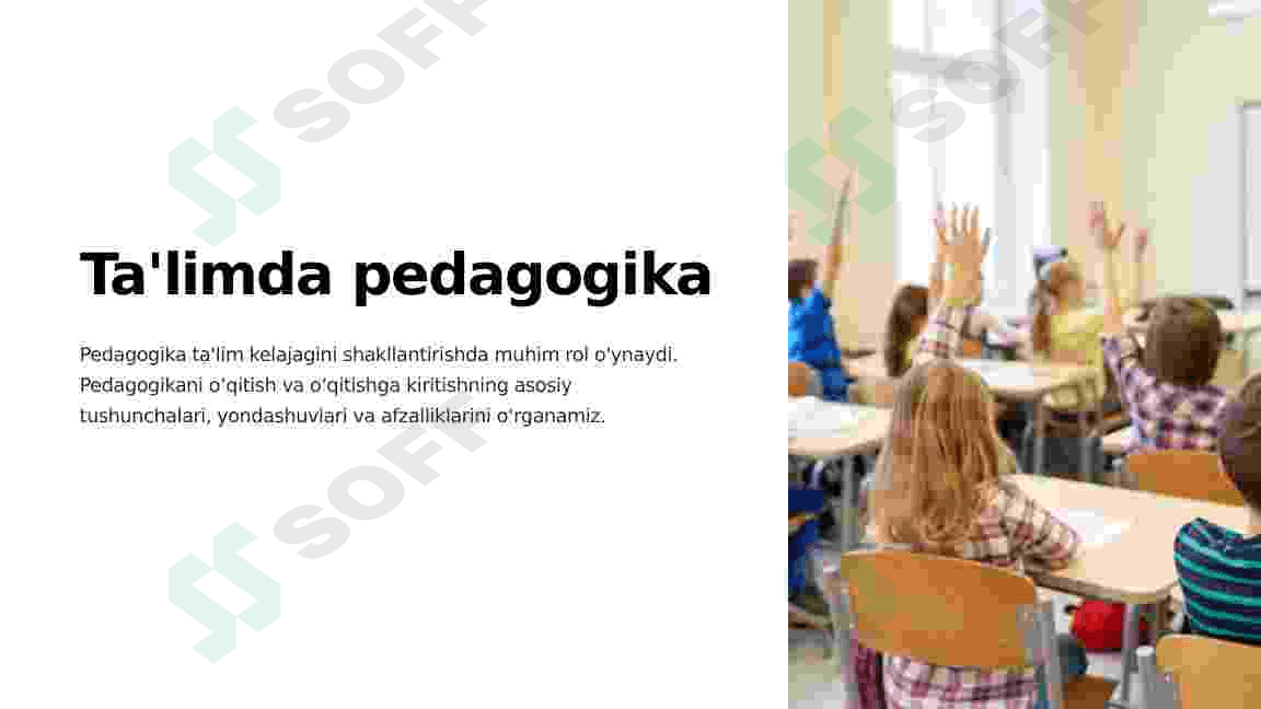 Pedagogik faoliyatning kasbiy-huquqiy asoslari 2