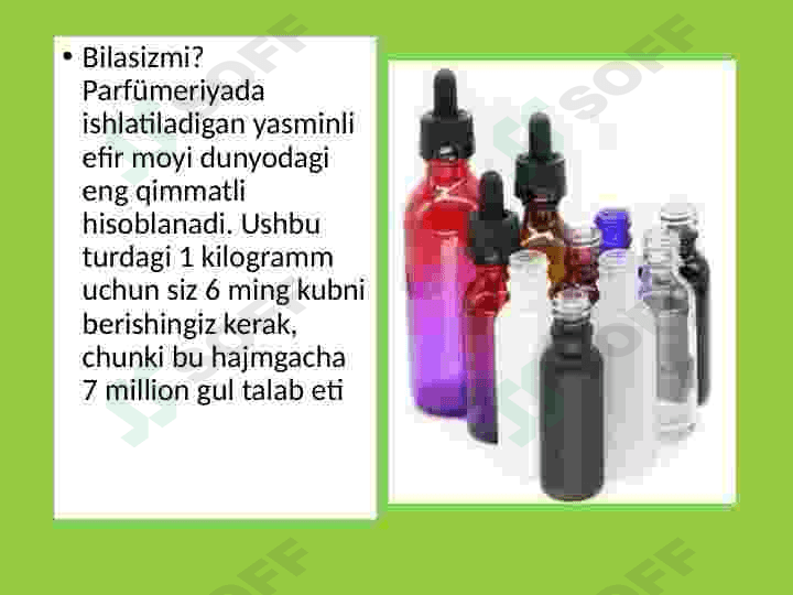 Yasmin, jasmin oʻsimligi haqida maʼlumot 2