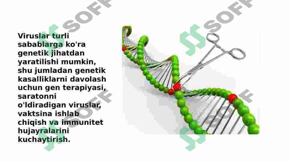 Viruslarning gen muhandisligida qoʻllanilishi 2