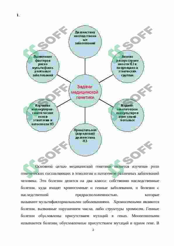 Наследственность и наследственные болезни 2