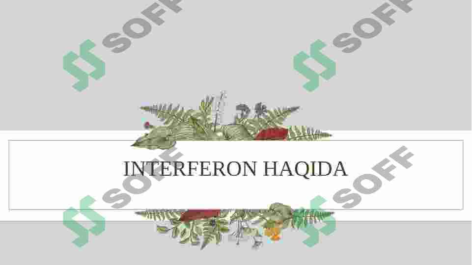INTERFERON VA SITOKINLARNING SINTEZLANISHI, TA’SIR MEXANIZMI 2
