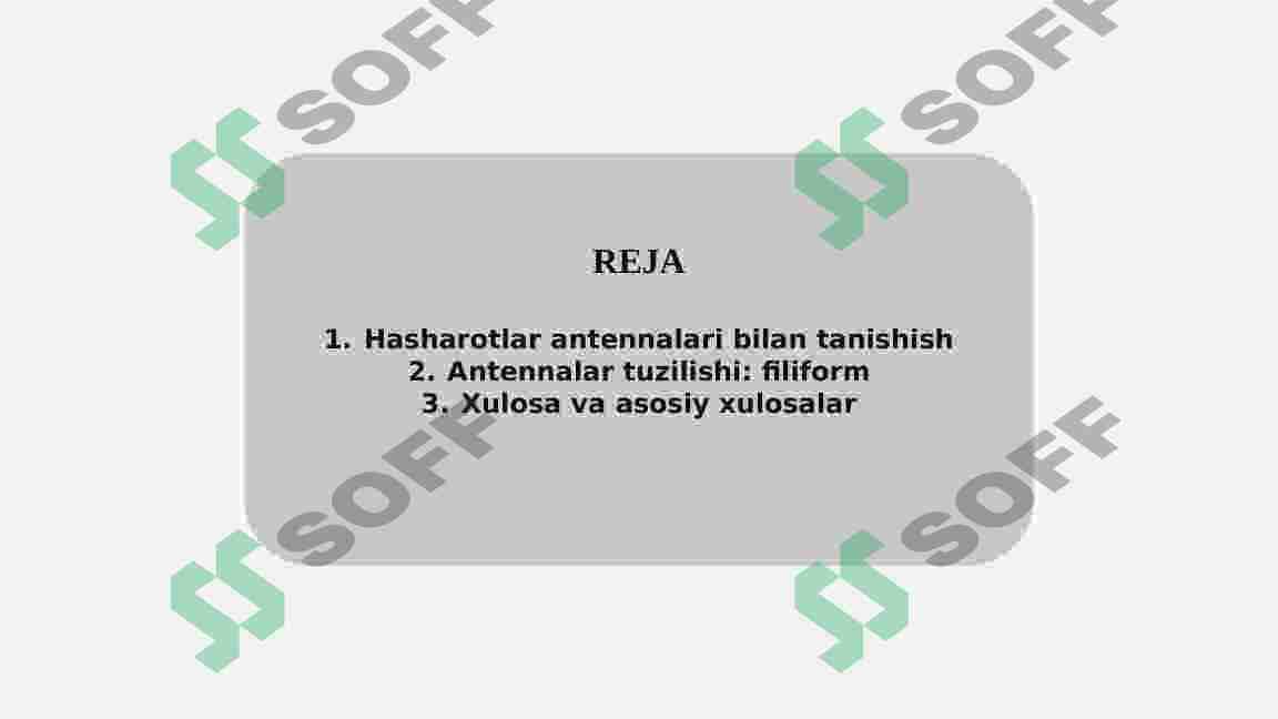 Hasharotlarning mo’ylovlarining tuzilishi va tiplari 2