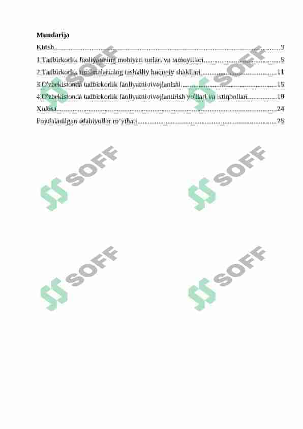 tadbirkorlik faoliyati 2