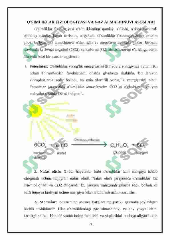 O’simliklarni gazlarga chidamliligi 3
