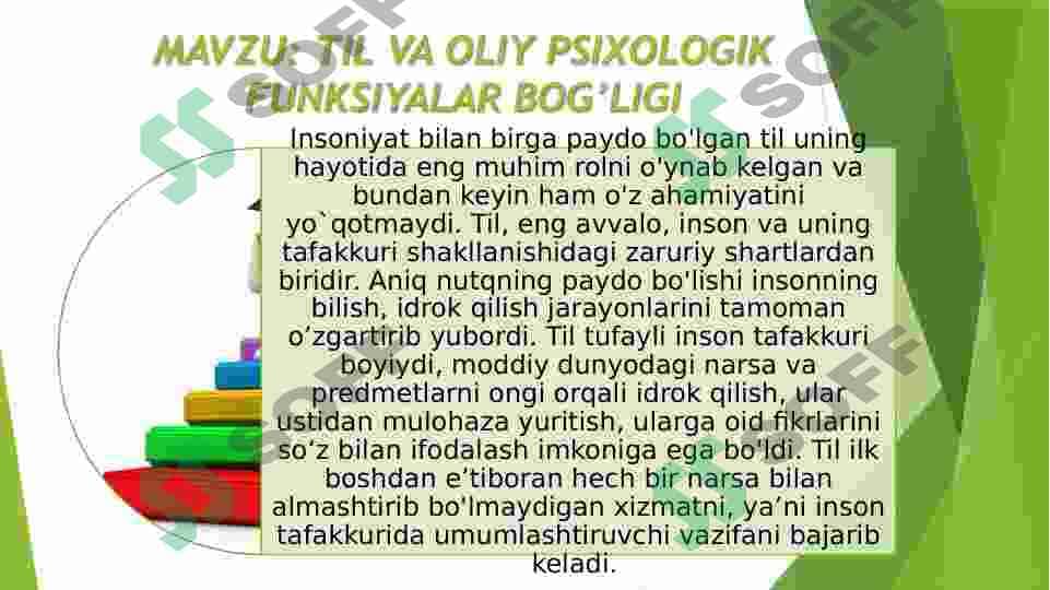 TIL VA OLIY PSIXOLOGIK FUNKSIYALAR BOG’LIGI 3