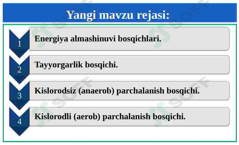 Energiya almashinuvi bosqichlari. ATF sintezi. 3