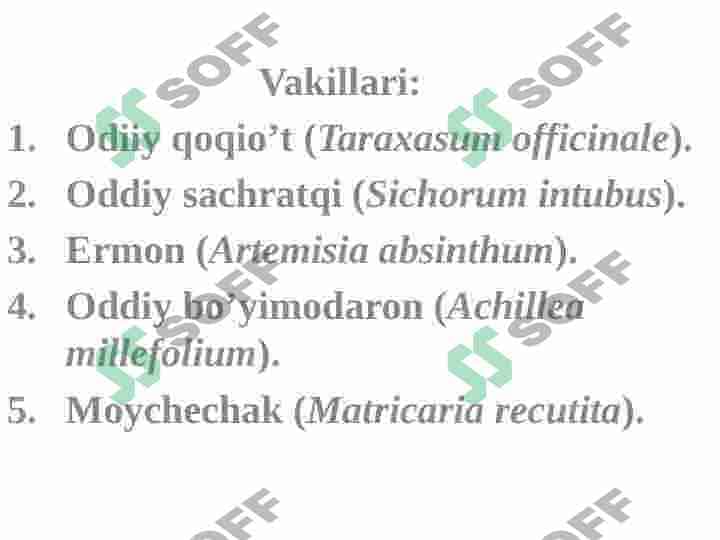QOQIO’TDOSHLAR OILASI VA ULARNI DORIVORLIK XUSUSIYATLARI 3