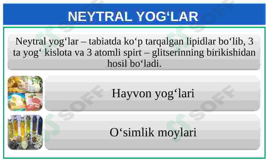 Lipidlarning tuzilishi, funksiyalari 3