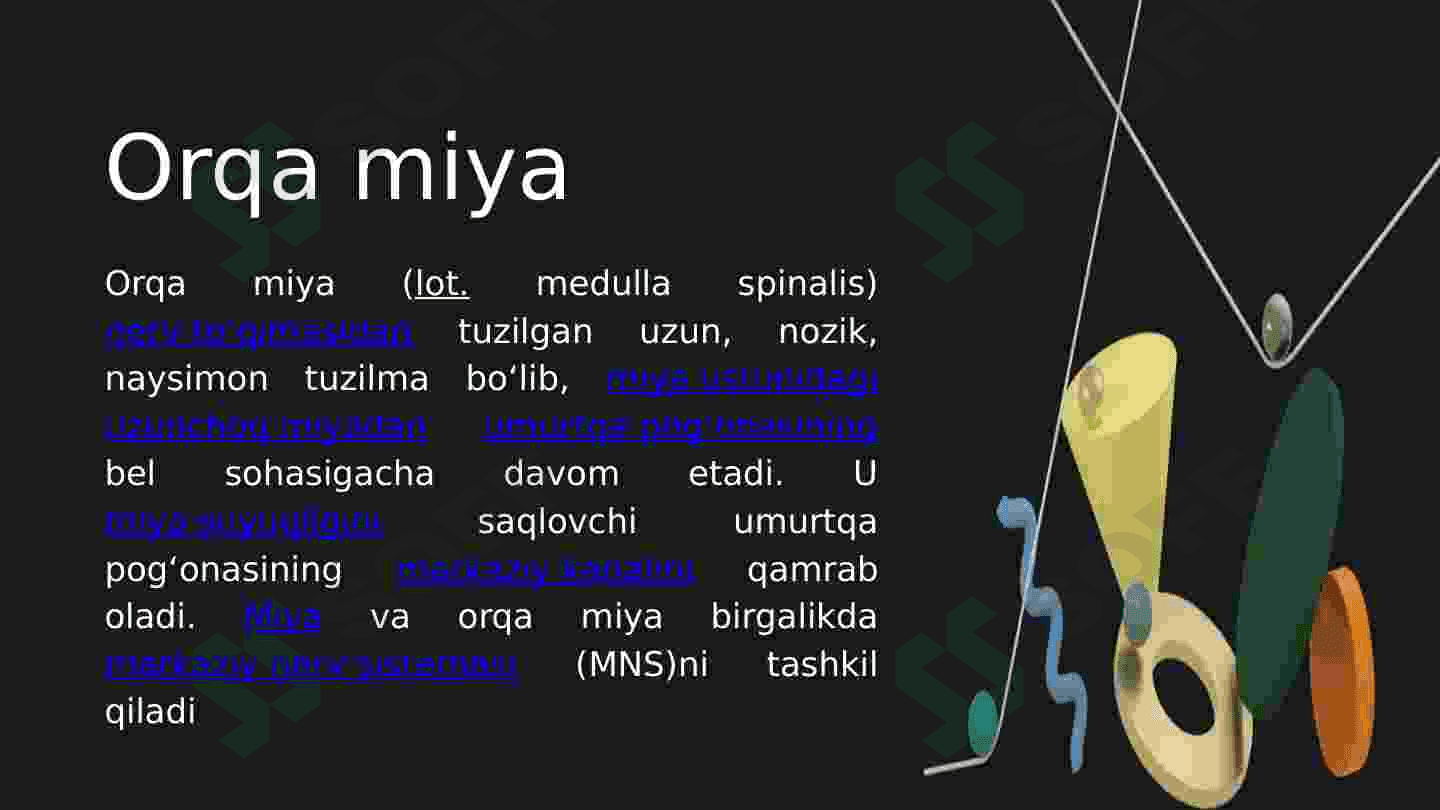 Orqa miyaning umumiy tuzulishi va yosh xususiyatlari 3