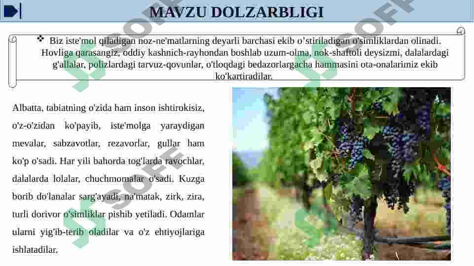 MADANIY O’SIMLIKLARNING KELIB CHIQISHI 3