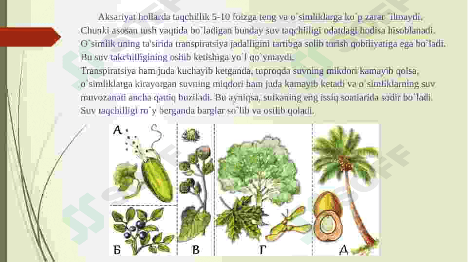 Oʻsimliklarda suv almashinuvi  fiziologiyasi 3