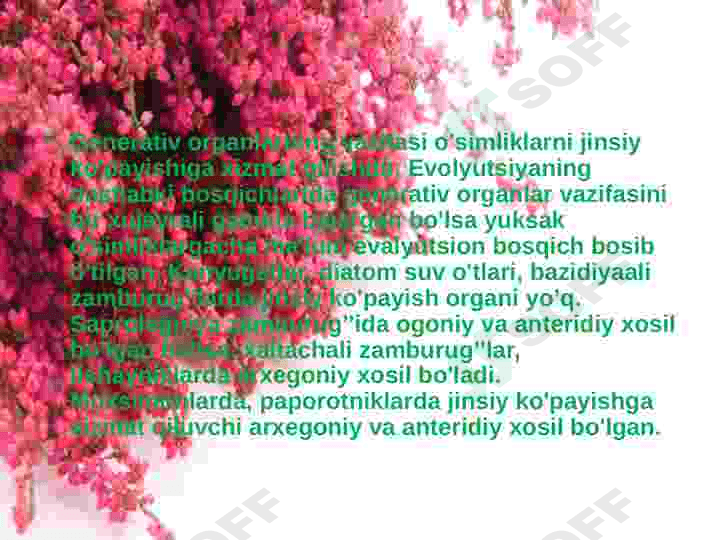 Gul va uning turlari 3