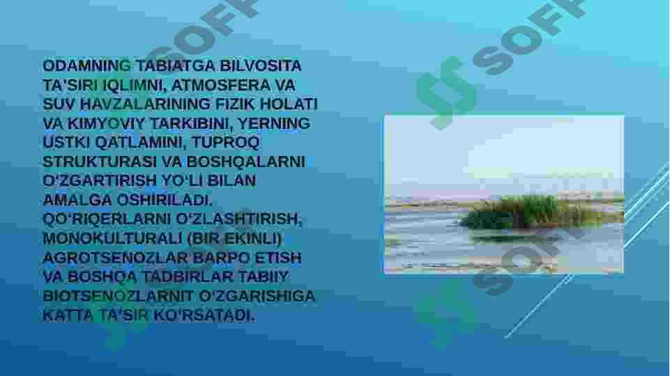 TUPROQ QOPLAMINING ANTROPOGEN OMILLAR TASIRIDA IFLOSLANISH MUAMMOLARI 3