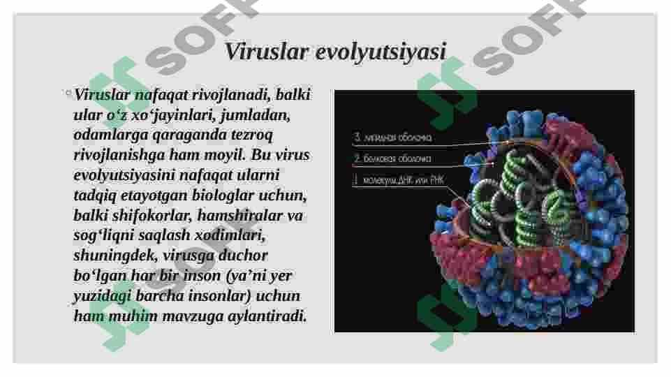 Viruslarning kelib chiqishi va ularning ahamiyati 3