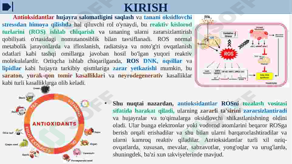 ANTIOKSIDANTLAR. ULARNING KLINIKADA QO'LLANILISHI 3