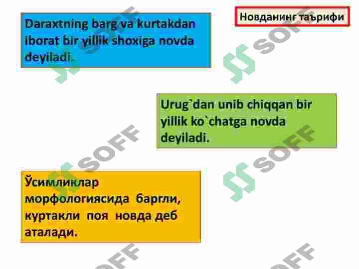 NОVDA. KURTAKLAR.  NОVDADA BARGLARNING  JОYLASHISHI. NОVDA  MЕTAMОRFОZI 3