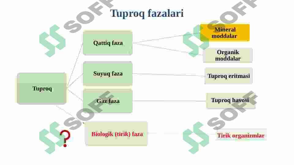 Tuproqning mineralogik va kimyoviy tarkibi 3