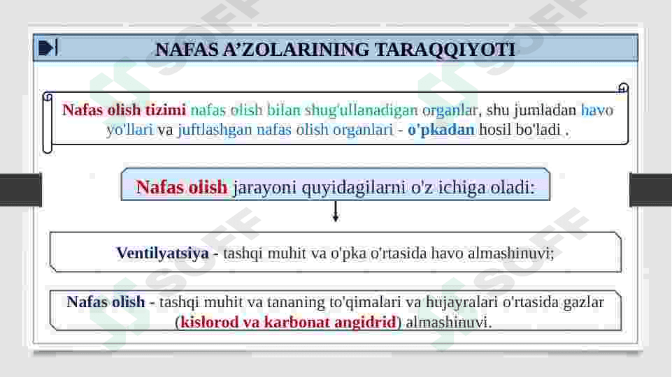 BURUN BO'SHLIGINING TUZILISHI VA YOSHGA QARAB O'ZGARISHI. XIQILDOQ VA UNING YOSHGA QARAB O'ZGARISHI 3