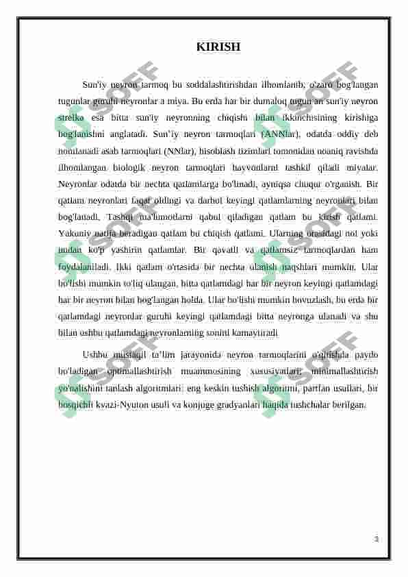 Sun'iy neyron tarmoqlari modeli 3