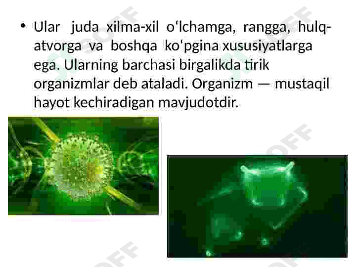 Tirik organizmlarning o‘ziga xos xususiyatlari 3