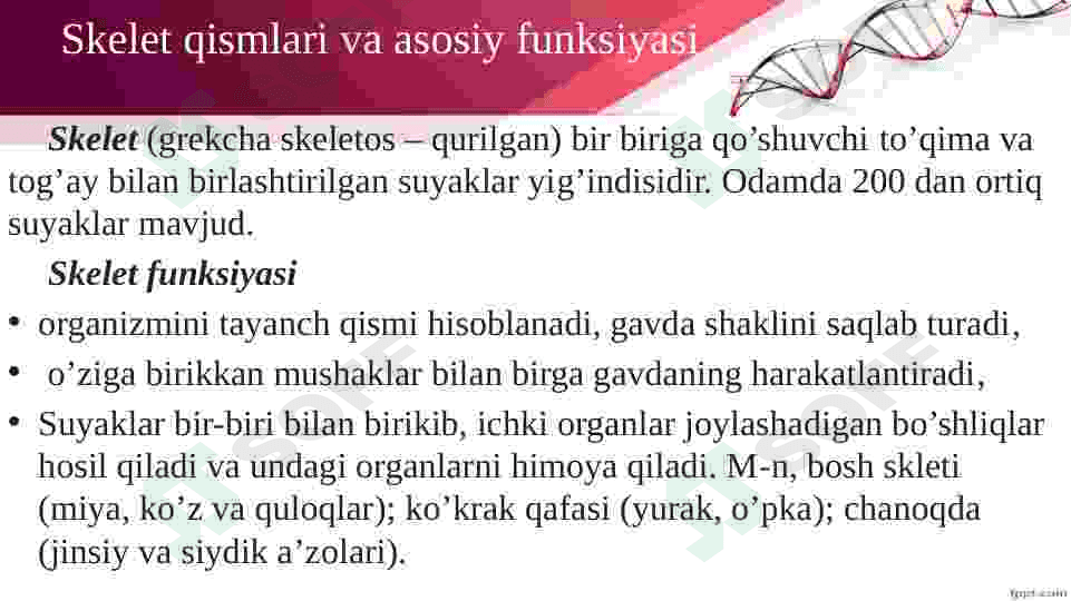 Tayanch va harakatlanish organlari. 3