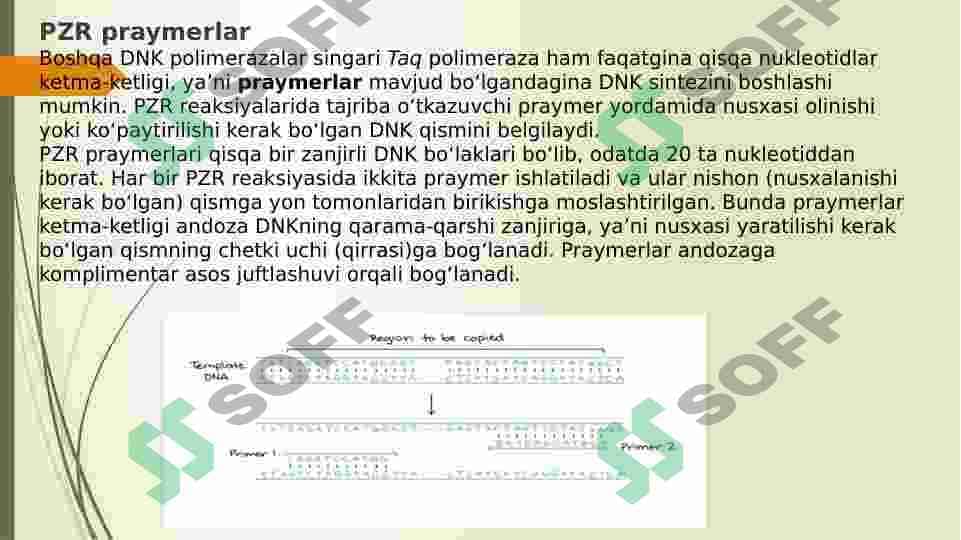 PZR uchun praymer dizayni 3