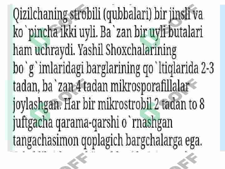 2-Qizilchadoshlar oilasi va ularning dorivorlik hususiyati 3