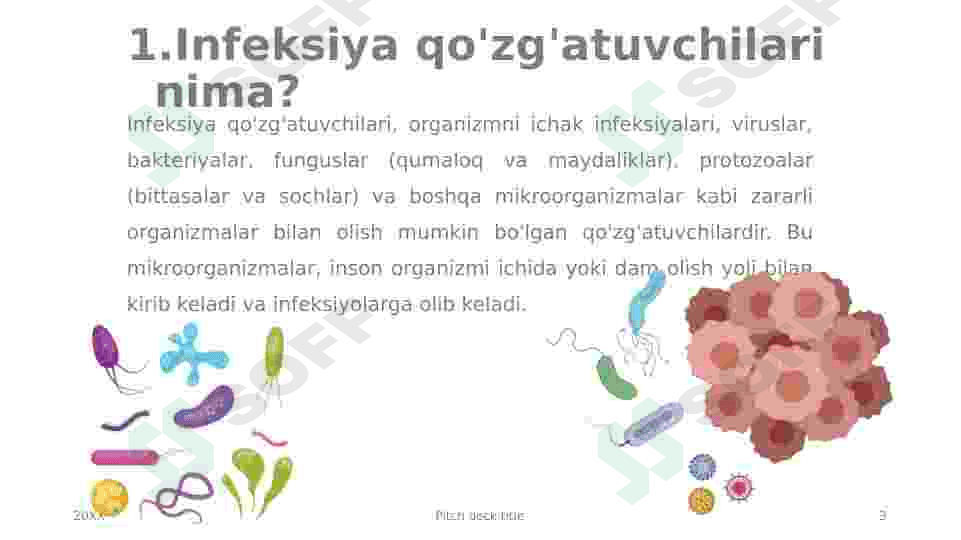 Ichak infeksiya qo’zg’atuvchilari 3